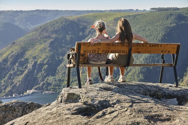 Quels sont les meilleurs fruits nains à cultiver sur un petit balcon ensoleillé ?