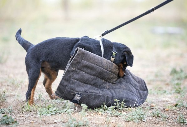 Comment concevoir une entrée de piscine sécurisée pour les tout-petits ?